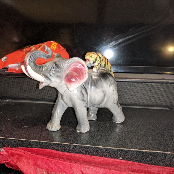 Elephants - Picture 12 of 15